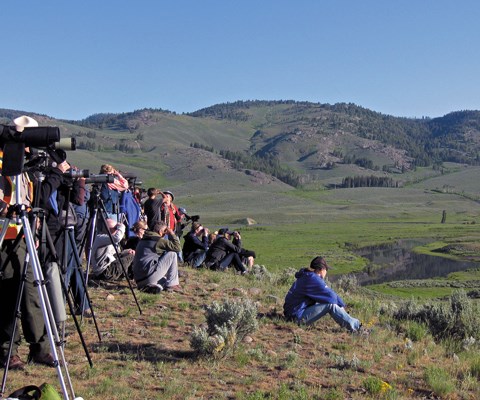 Wolf watchers looking out across a valley.