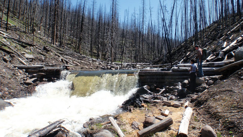 Barrier on East Fork Specimen Creek creates a waterfall along the creek