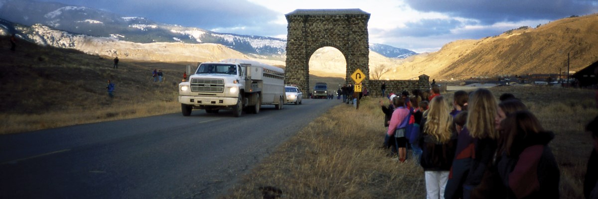 A truck and stock trailer followed pass through a stone arch