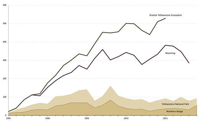 Chart showing the population of wolves in and around Yellowstone.