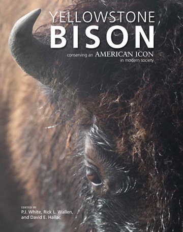 Bison Articles Amp Publications Yellowstone National Park