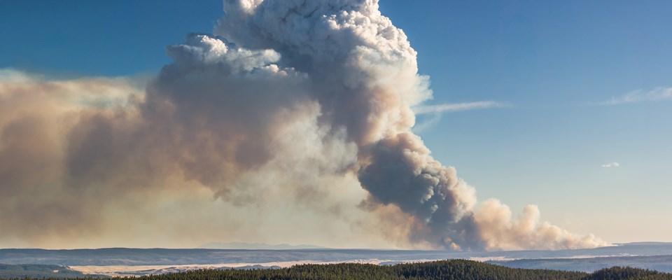 Heavy smoke rises from a wide landscape into blue sky
