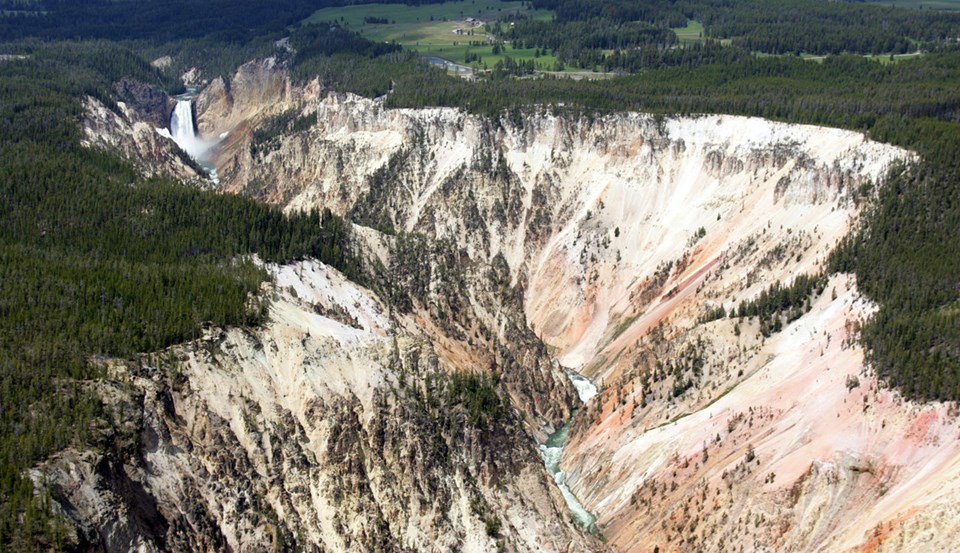 An aerial view of the pale stone of Grand Canyon of the Yellowstone cutting through green forest
