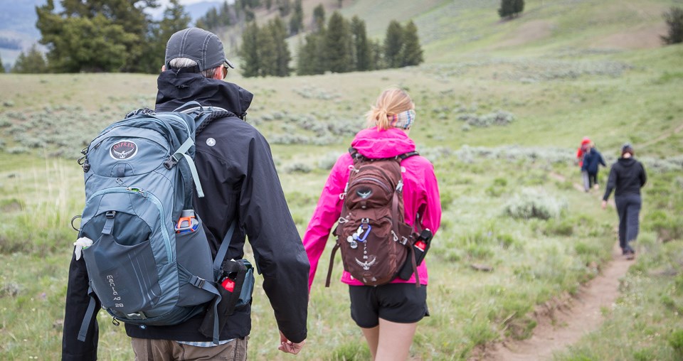 A group of five hikers carrying bear spray in Lamar Valley