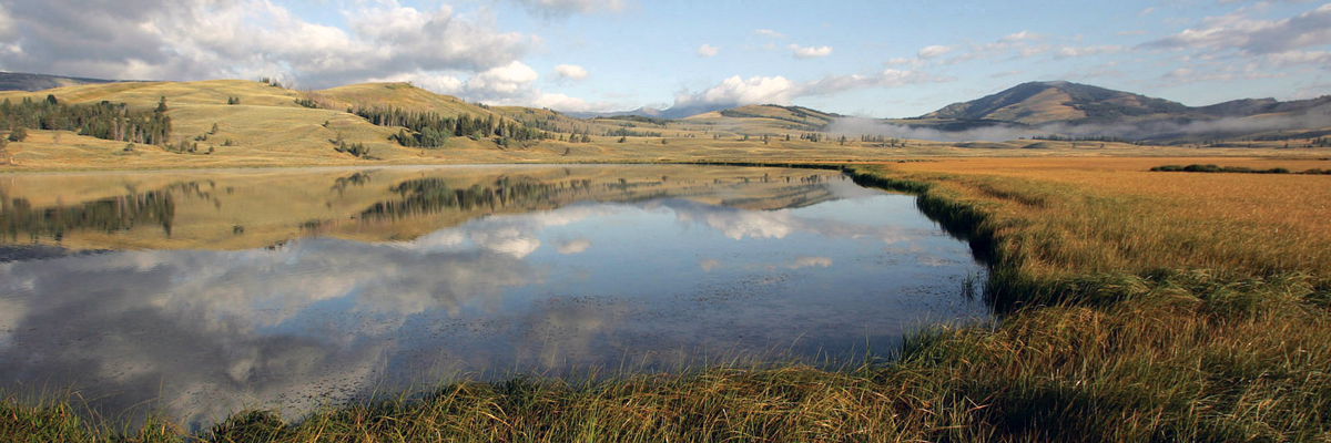 A large lake reflects mountains in a meadow of tall grass A large lake reflects mountains in a meadow of tall grass