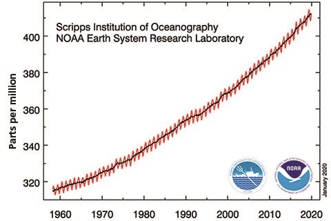 A graph of atmospheric concentrations of CO2 showing years from 1960 to 2020 on x axis and parts per million of 320 to 400 on y axis. The red line increases sharply over the time period.