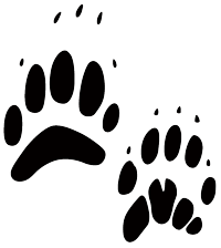 Black paw prints of a badger
