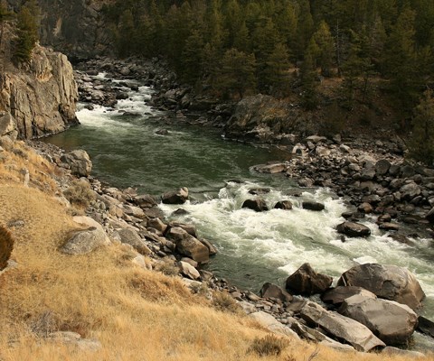 A river flows through a rocky canyon and creates white water below rocks