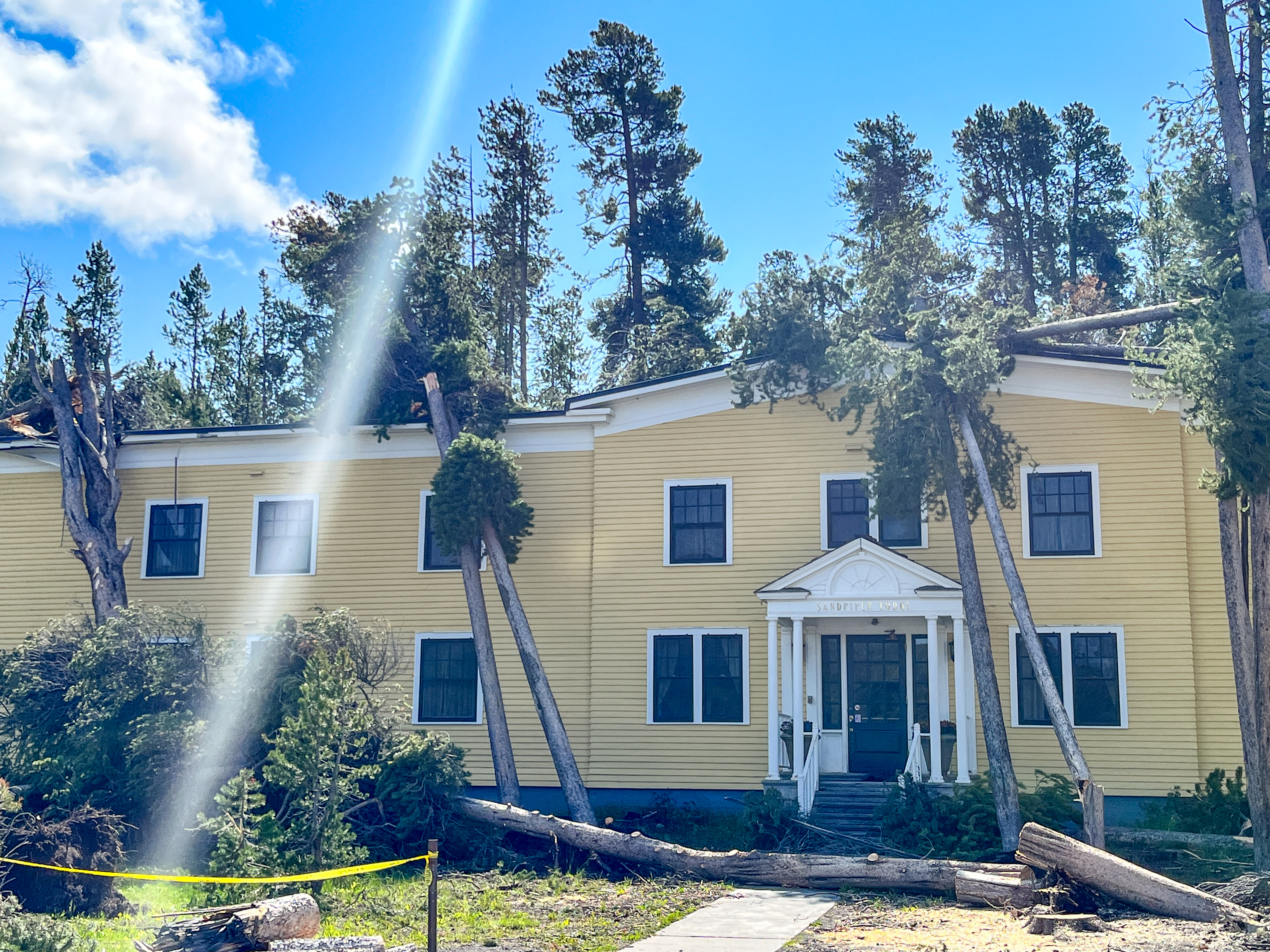 fallen trees near a yellow-colored building