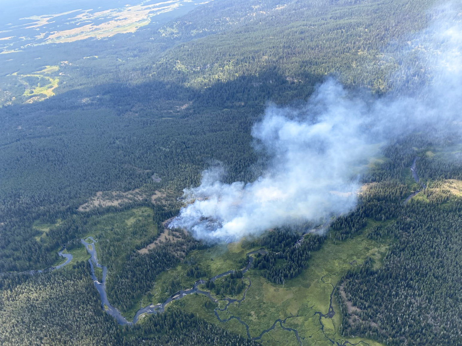 an aerial view of a fire burning on a treed hillside