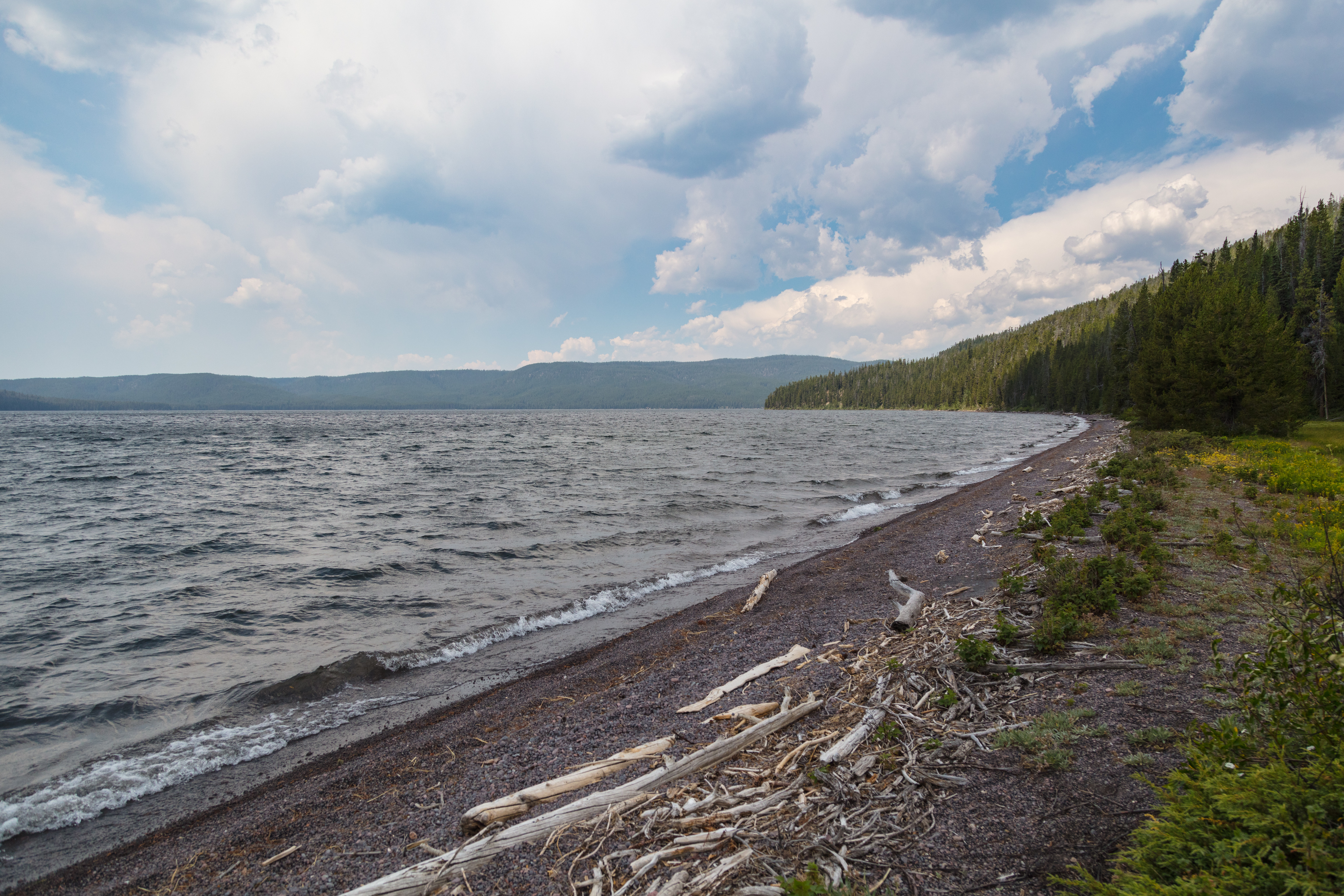 a lakeshore with waves, sand and trees