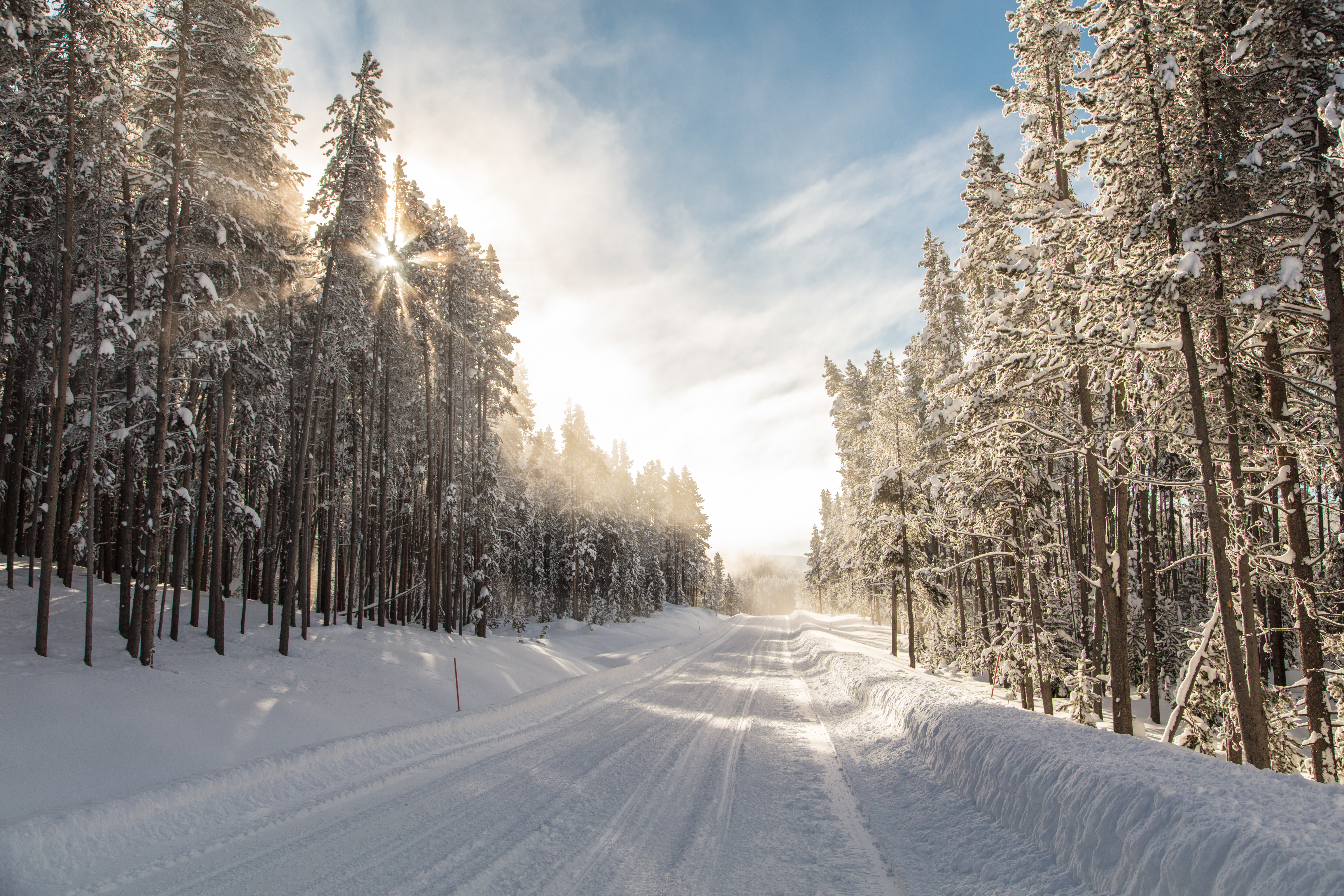 A road covered in snow and flanked by snowy trees