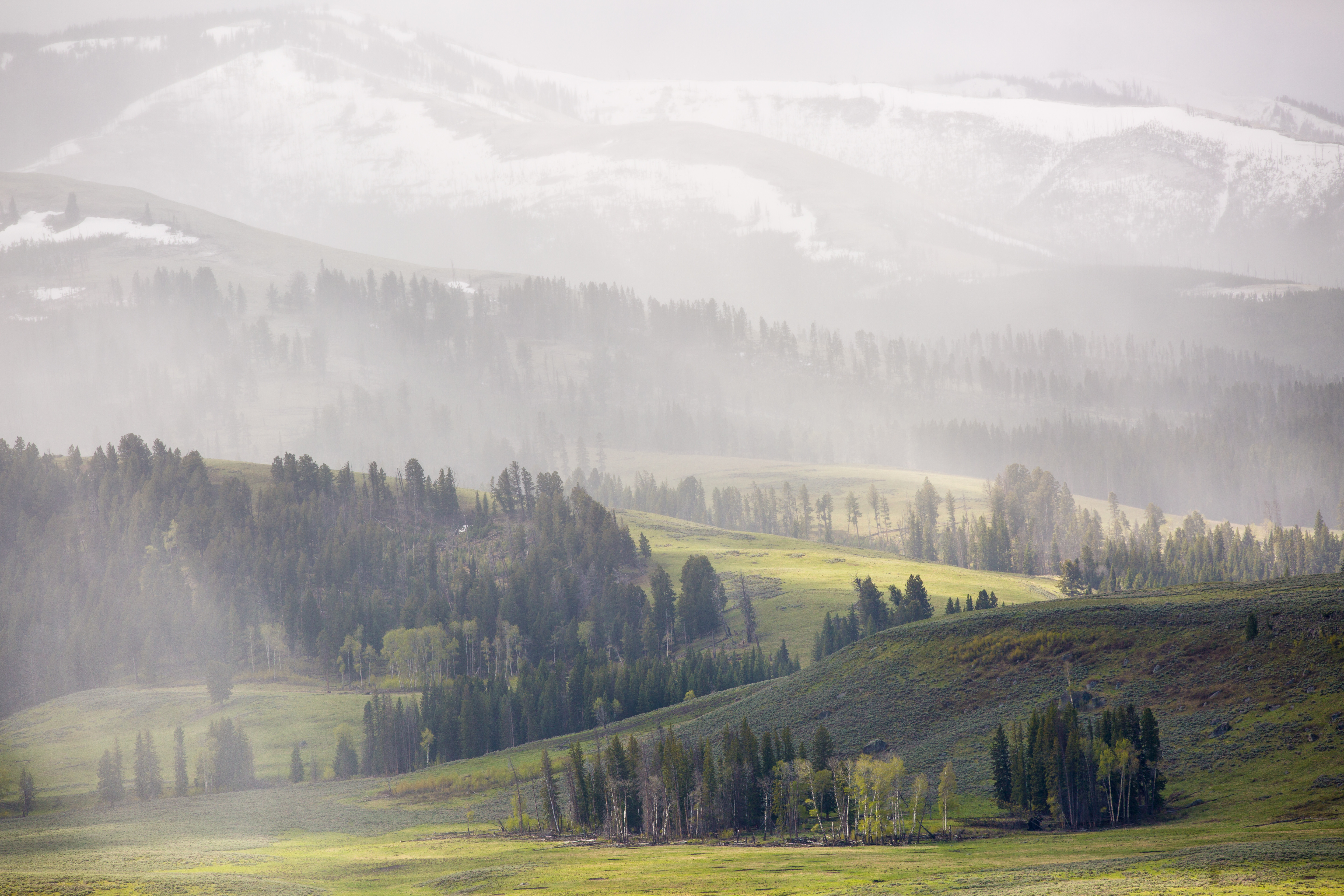 a spring snowstorm blankets the tops of green mountainsides