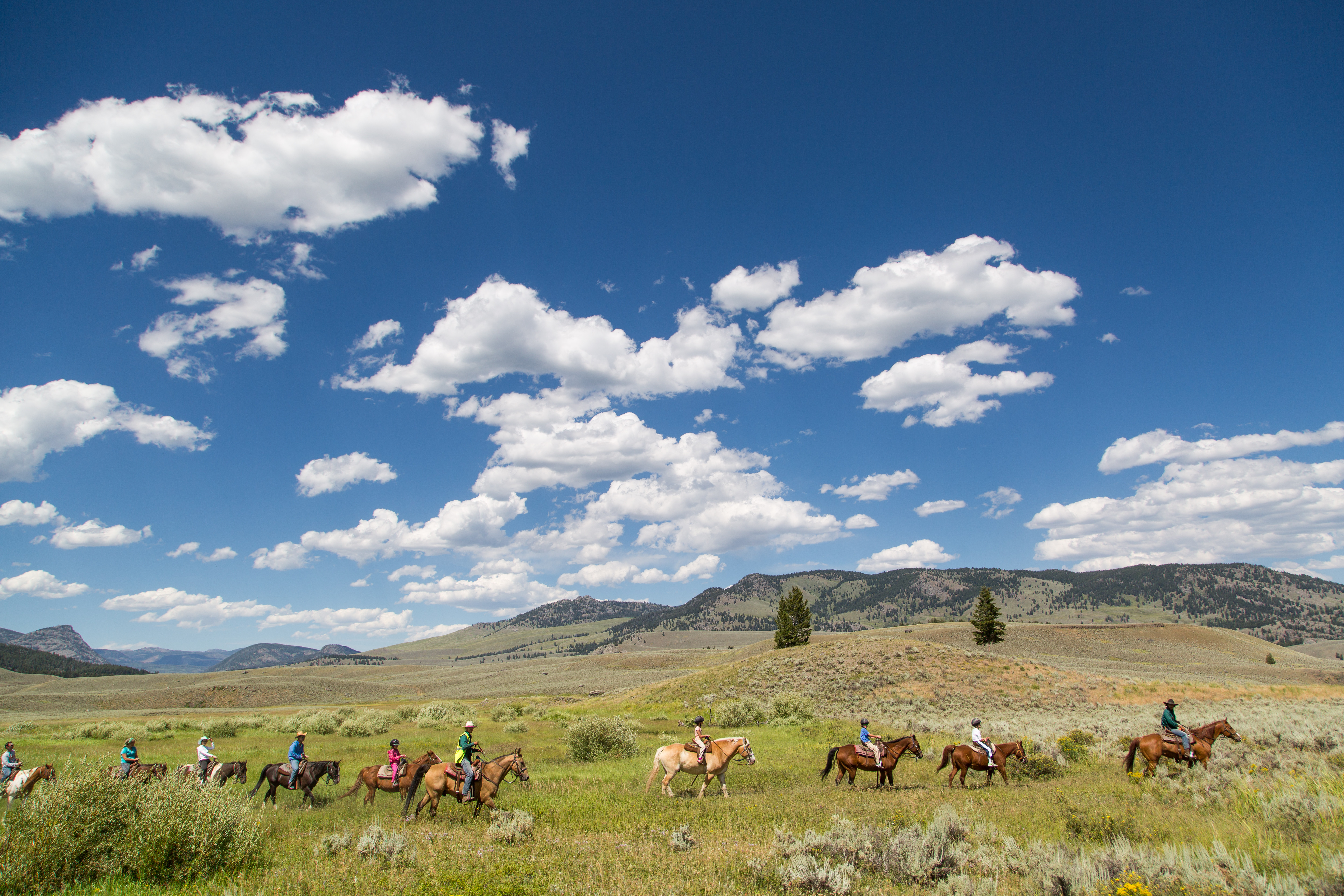 A string of horses and riders among a green, mountainous landscape