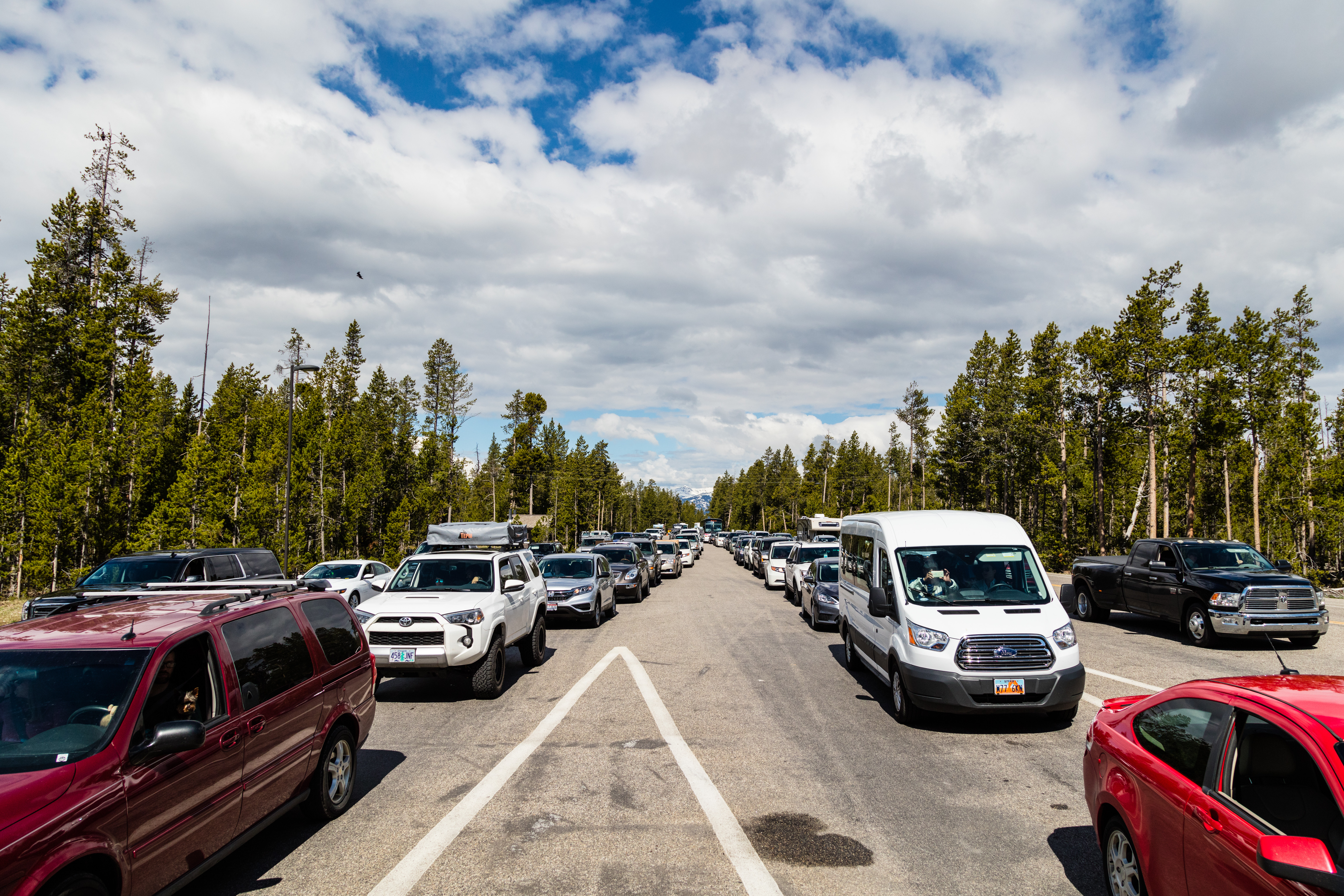 Lines of cars at the park's West Entrance.