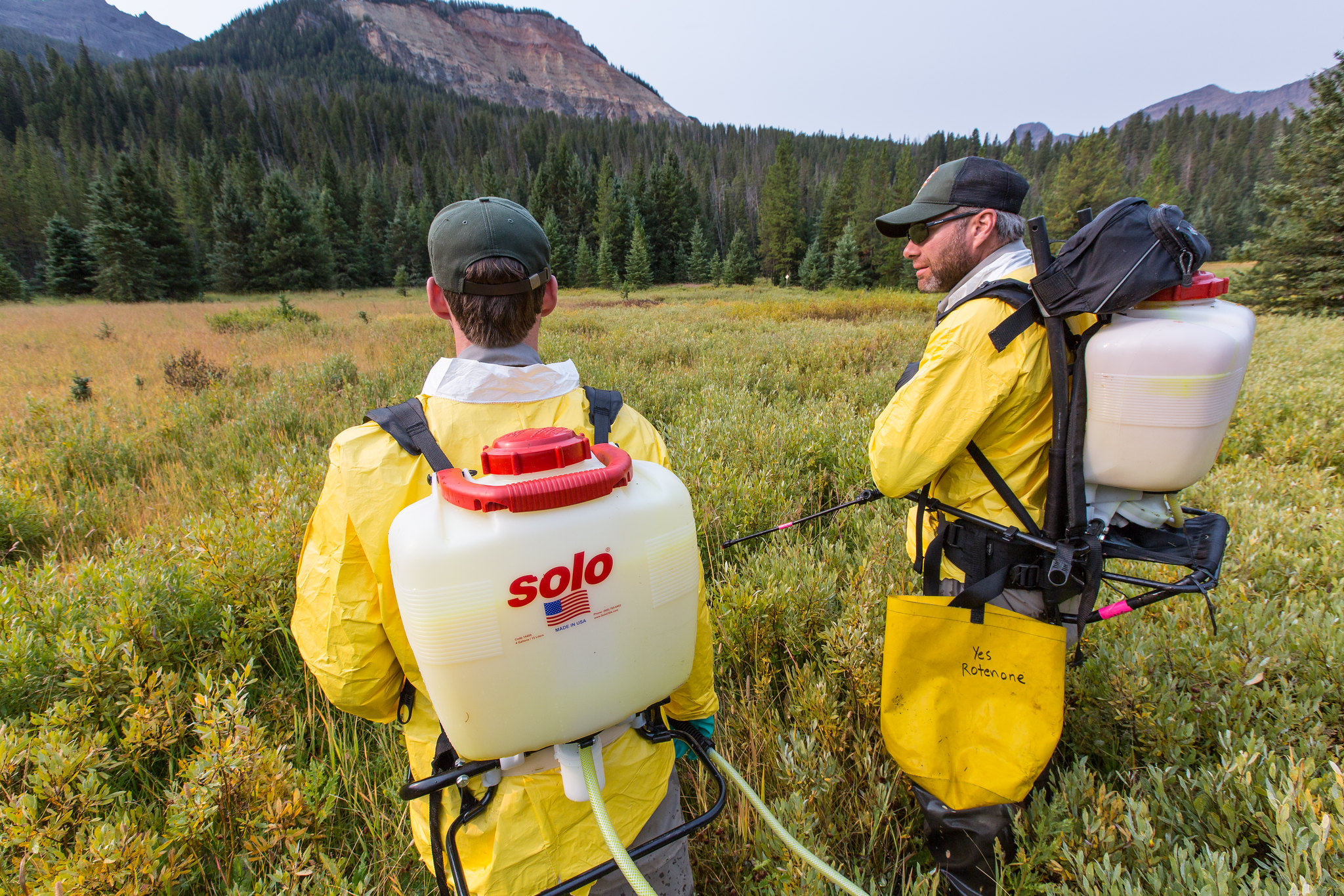 Staff prepare to spray rotenone in tributaries of Soda Butte Creek