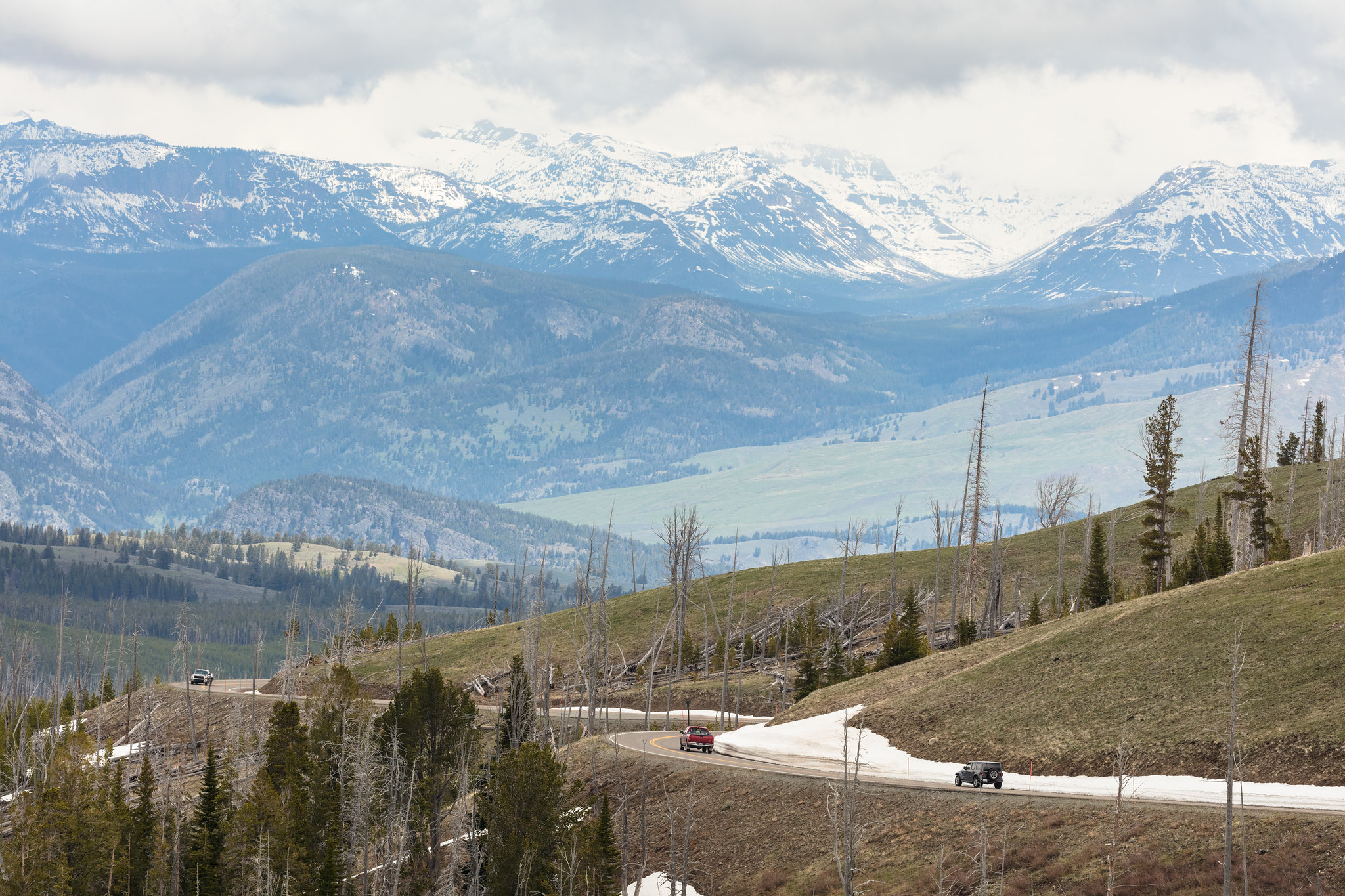 Views along Grand Loop Road from Tower Junction to Canyon Village