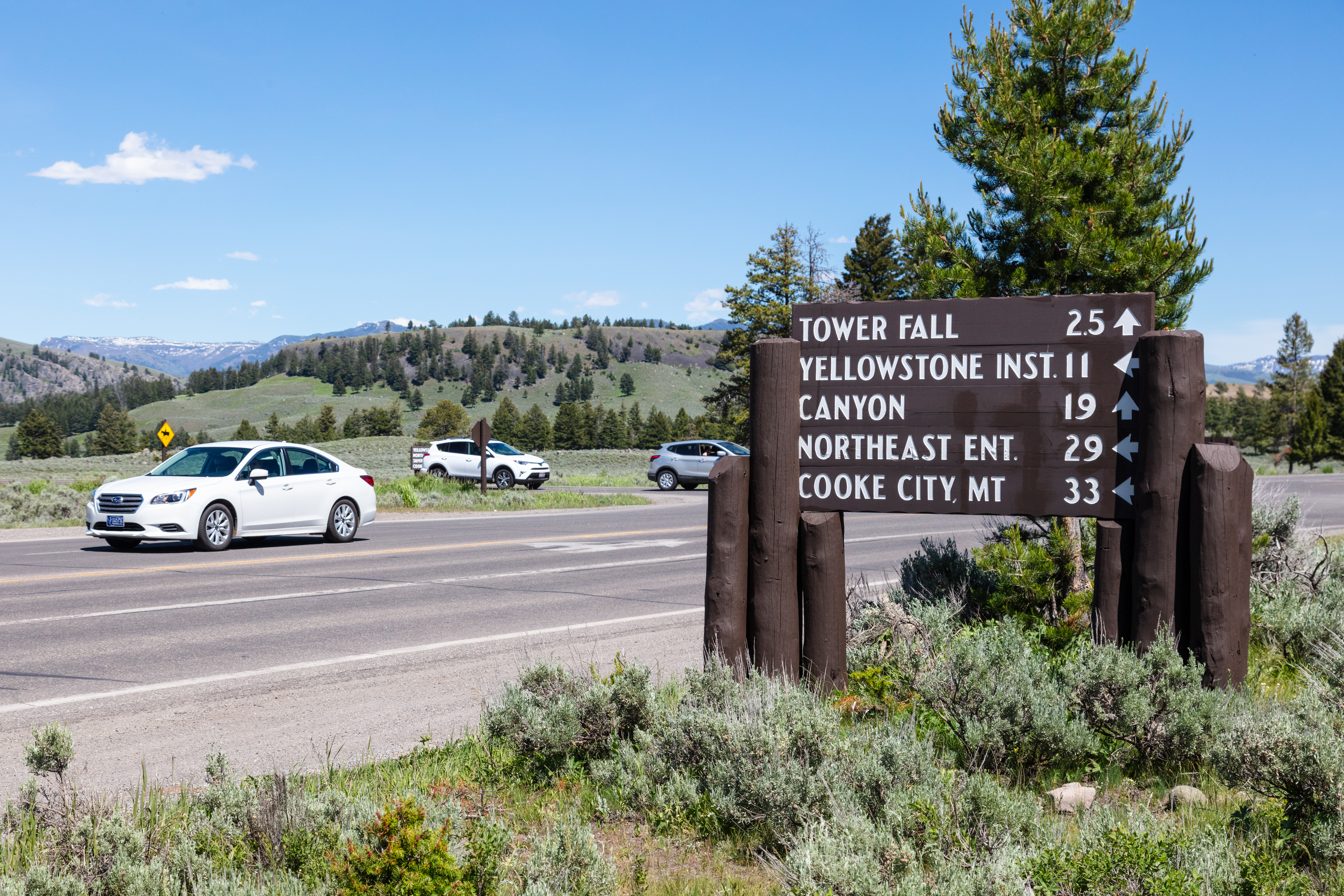 a large wooden sign near a road