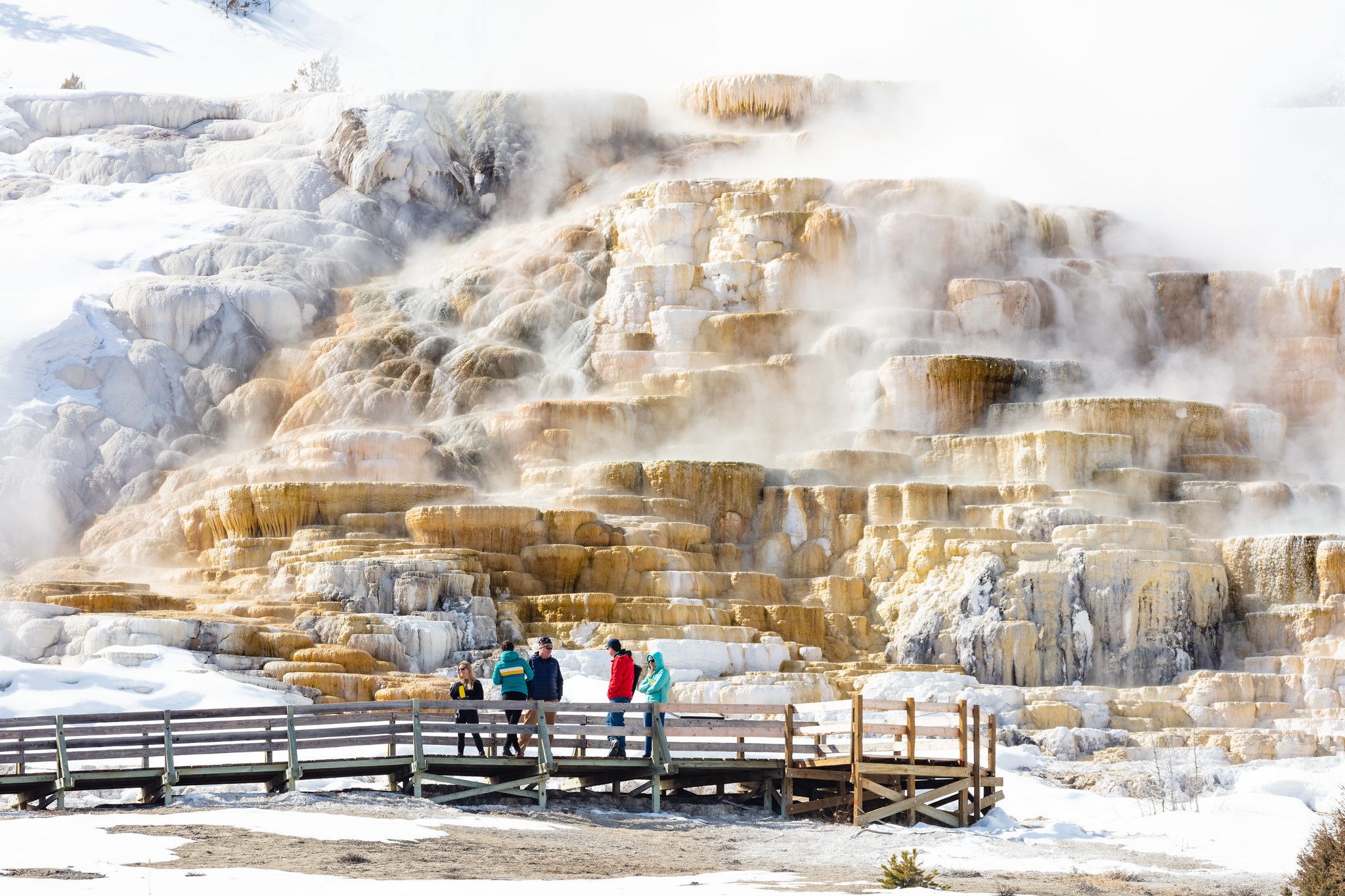 people walking on a boardwalk in front of a thermal feature