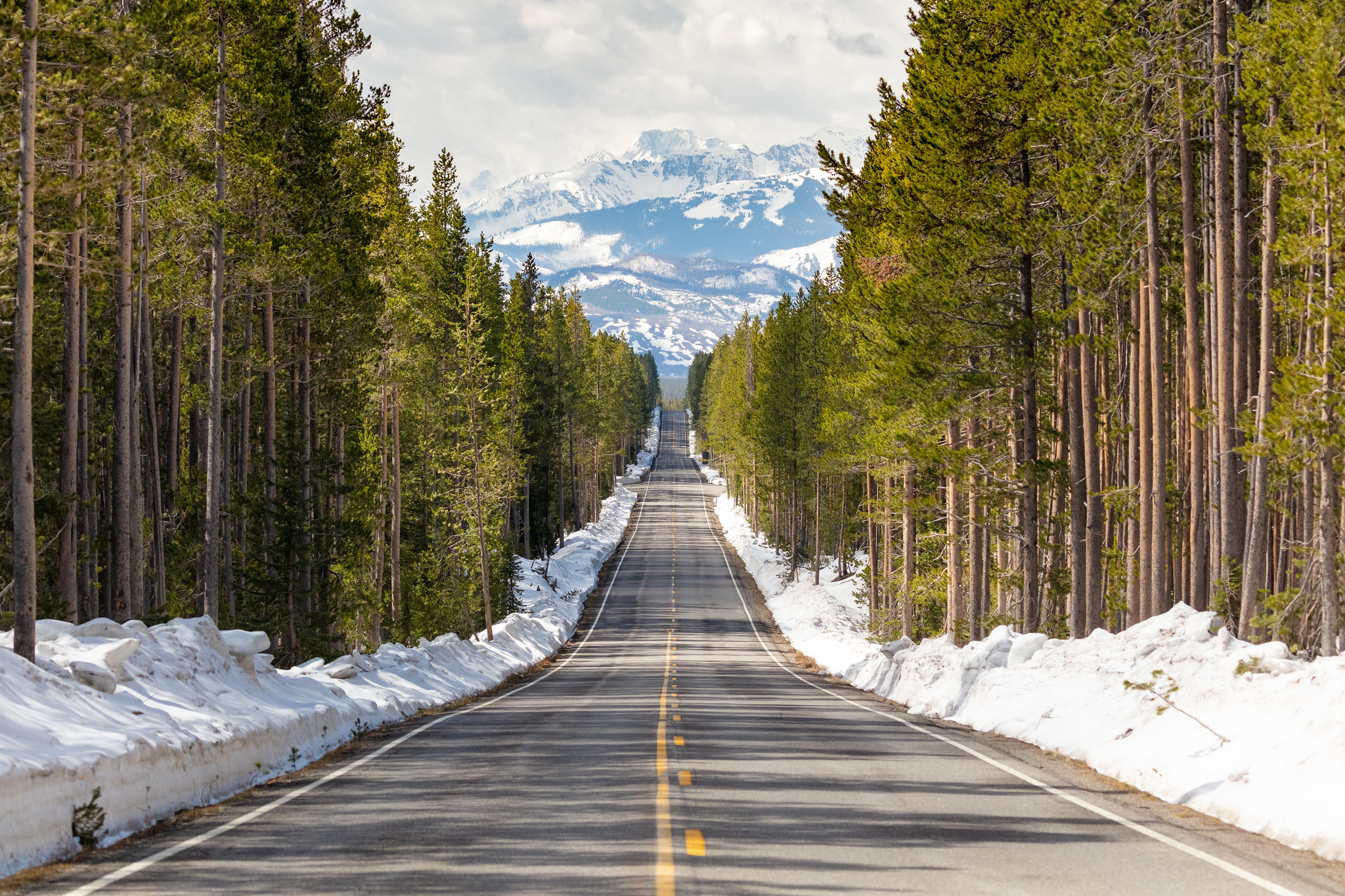 A straight road leads through a forest with mountains in the distance