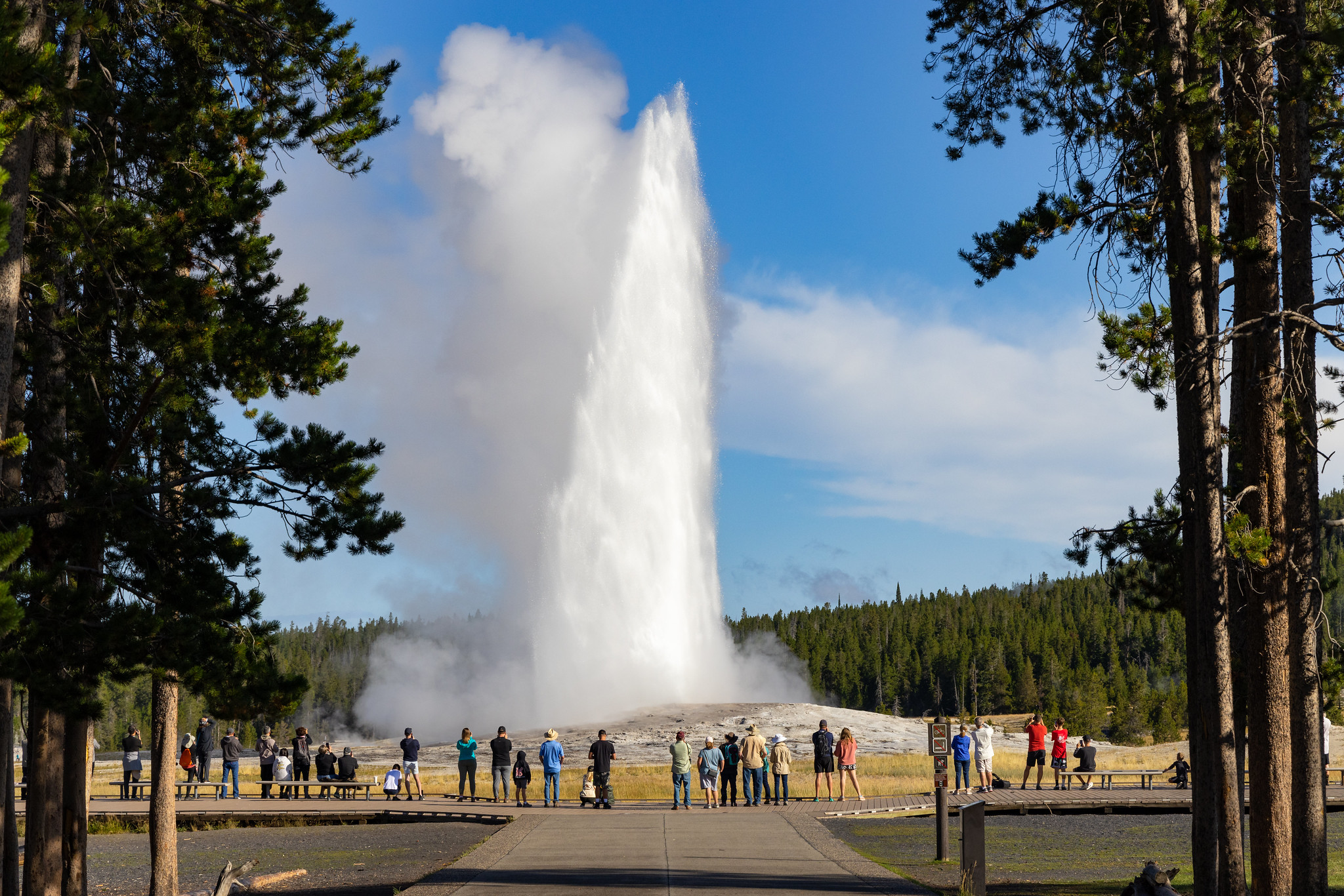 52324547347_c2de8680c1_k Morning Old Faithful eruption