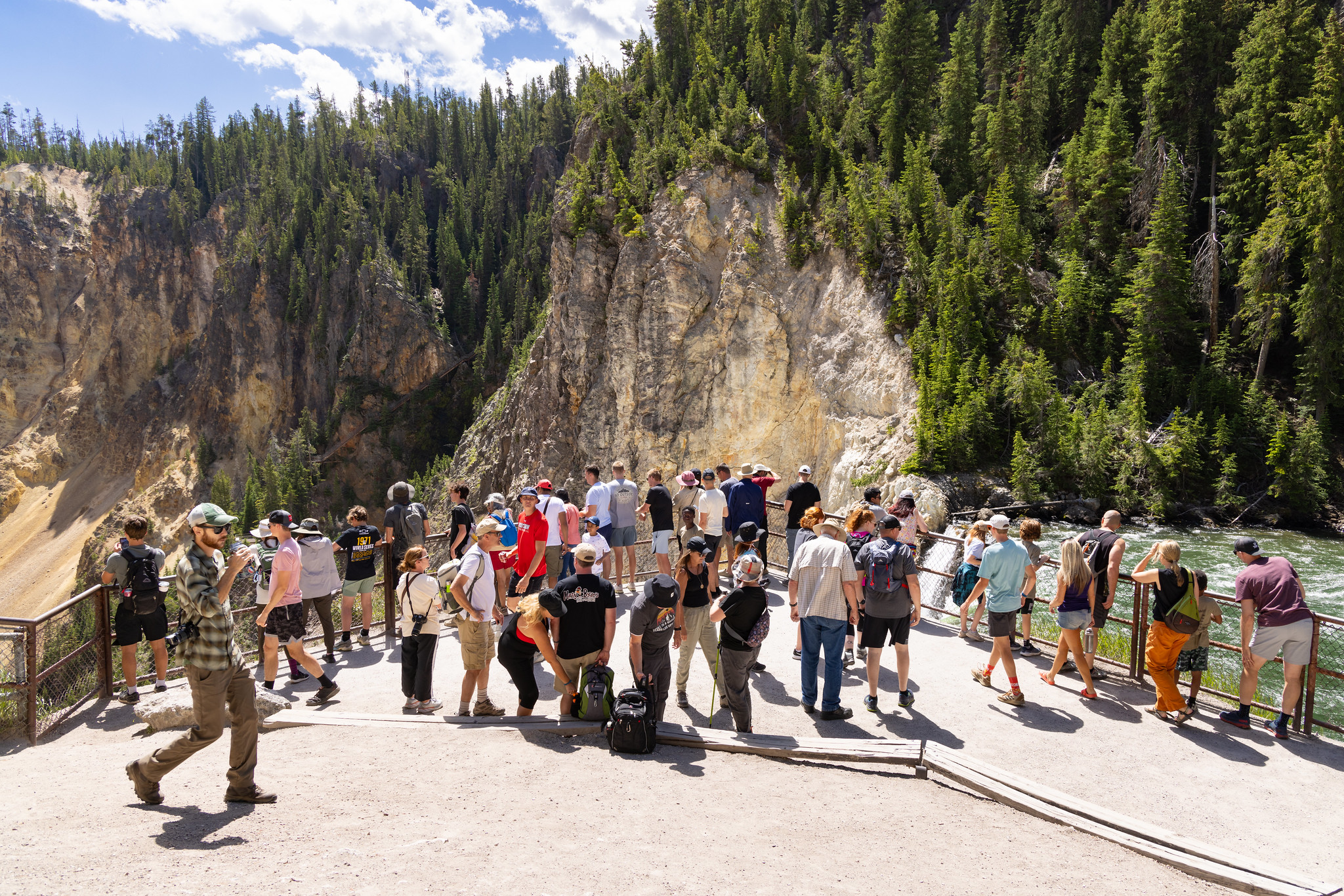 Brink of the Lower Falls viewing area