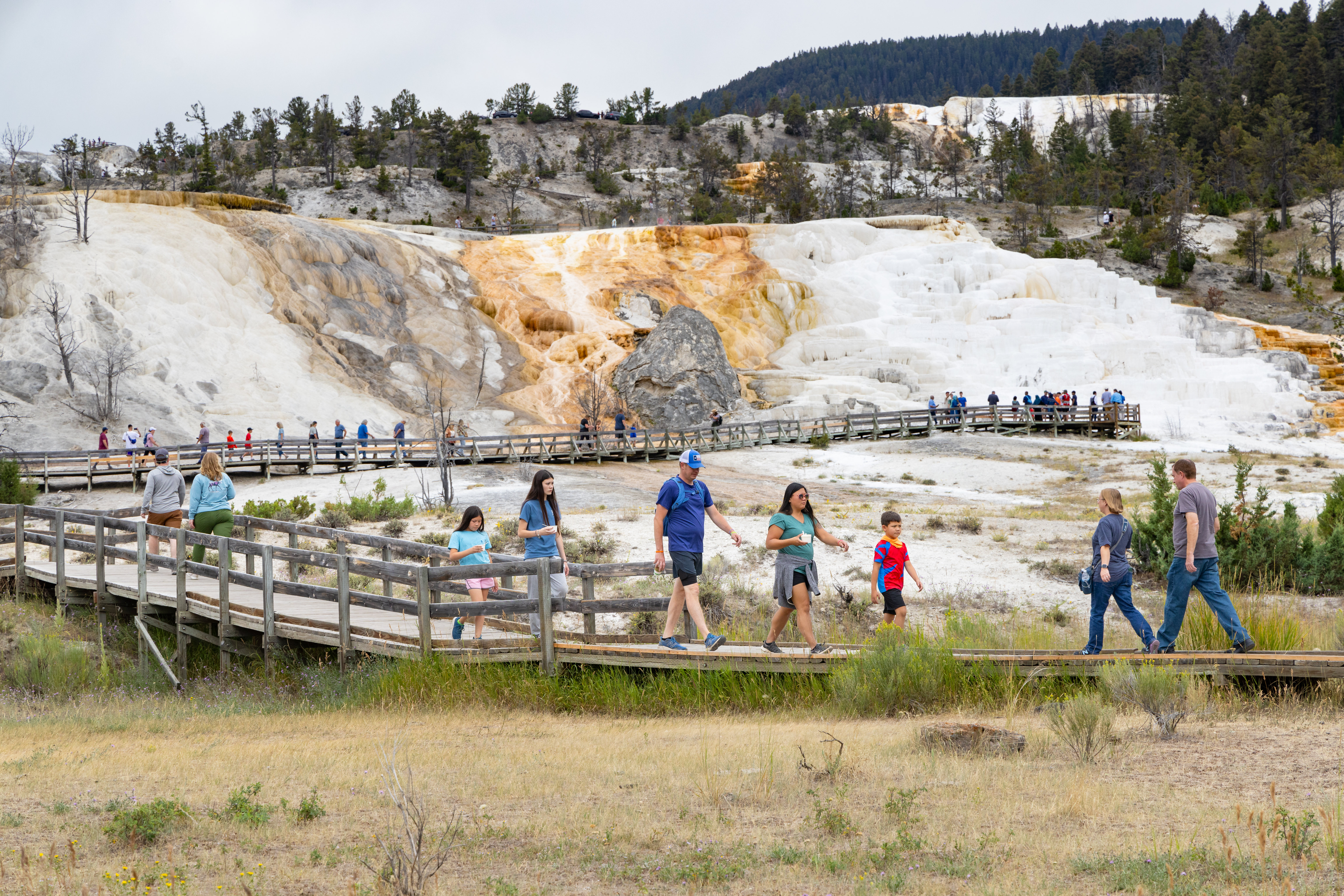 people walking on a boardwalk