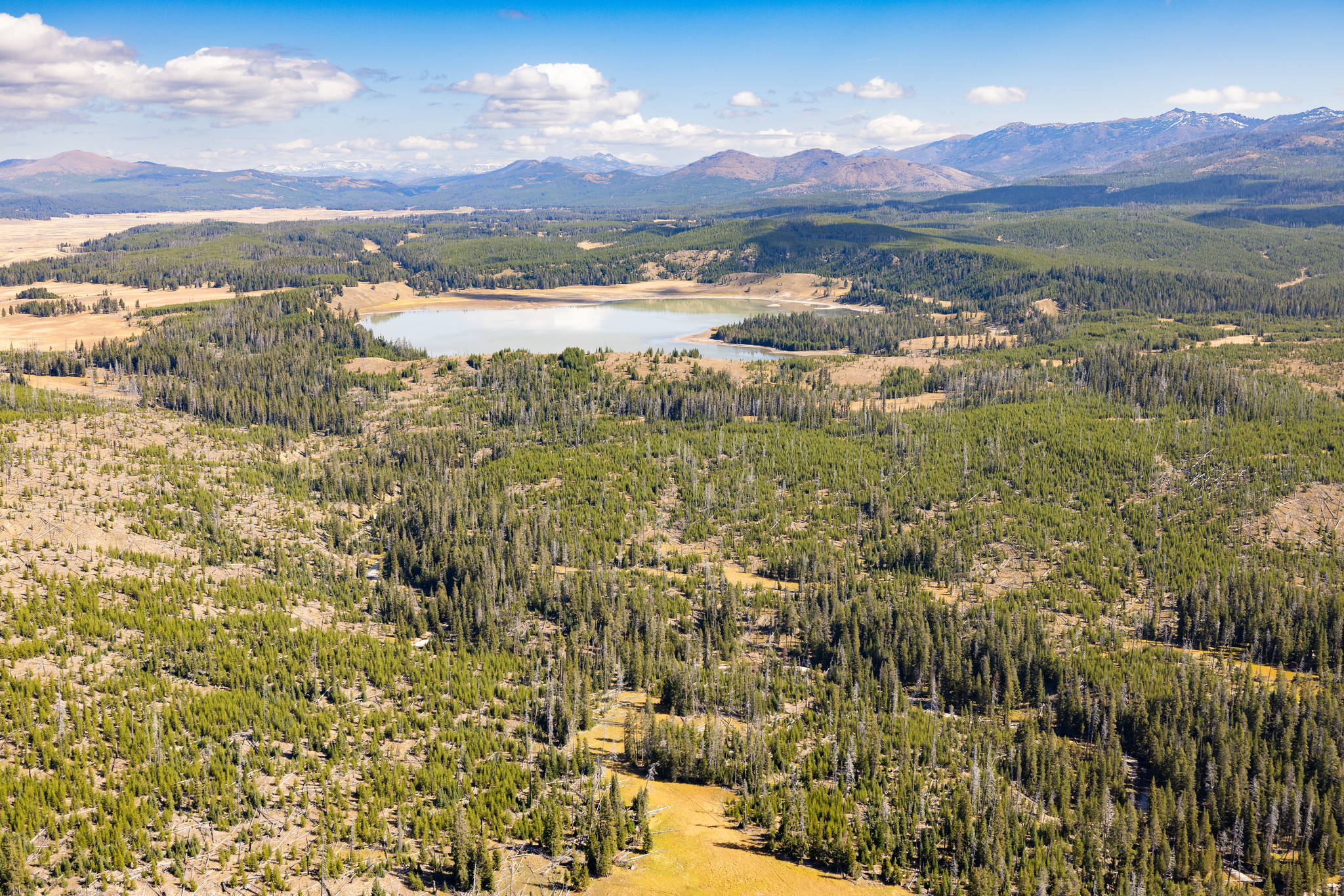 An aerial view of a lake