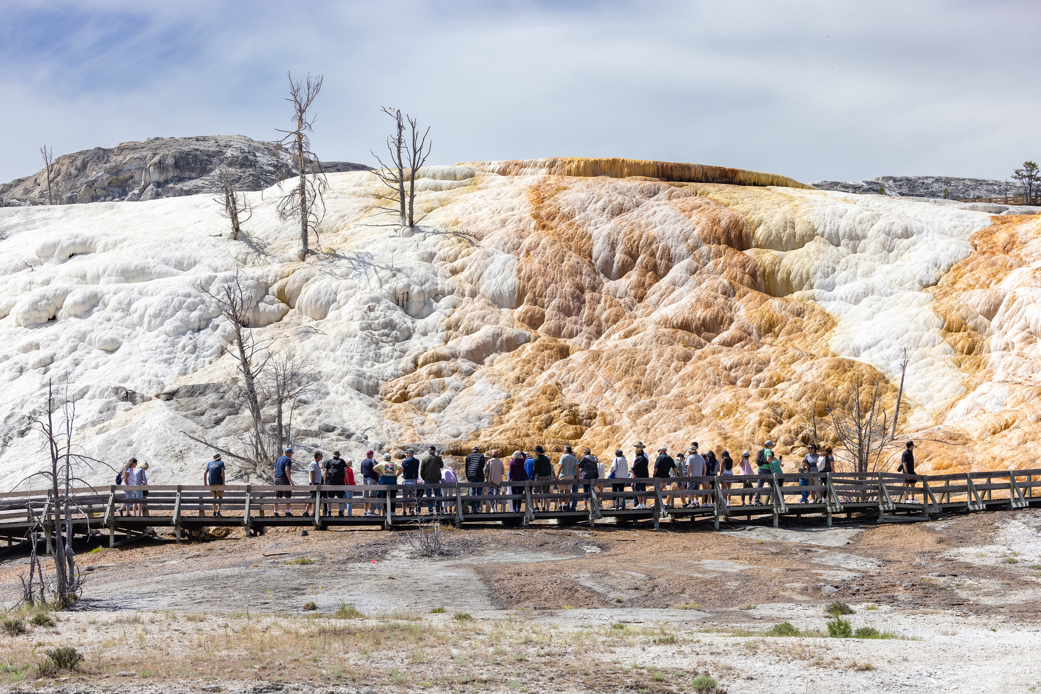 People on a wooden boardwalk looking at a terraced thermal feature