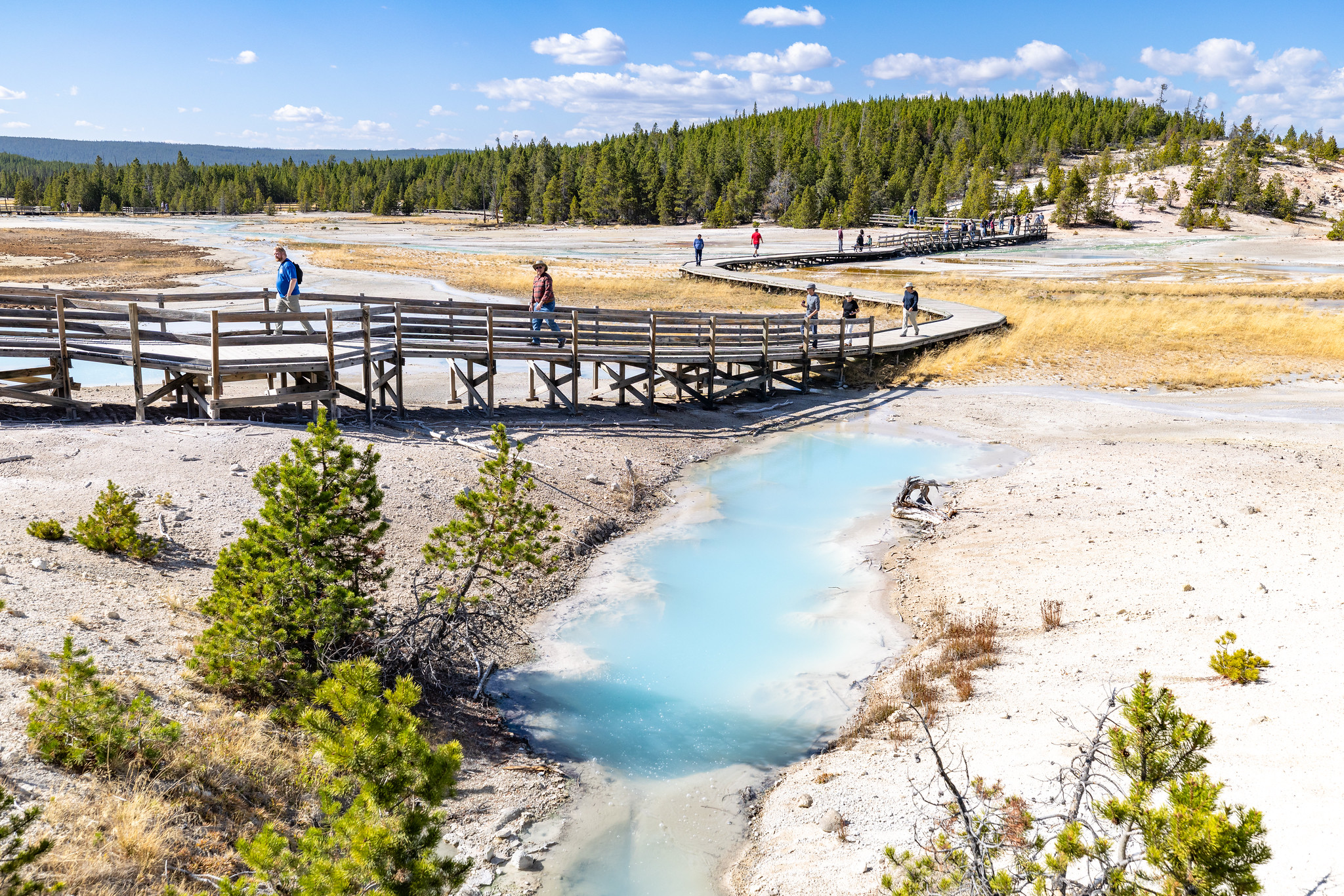 People walking on a wooden boardwalk through a hydrothermal area on a sunny summer day