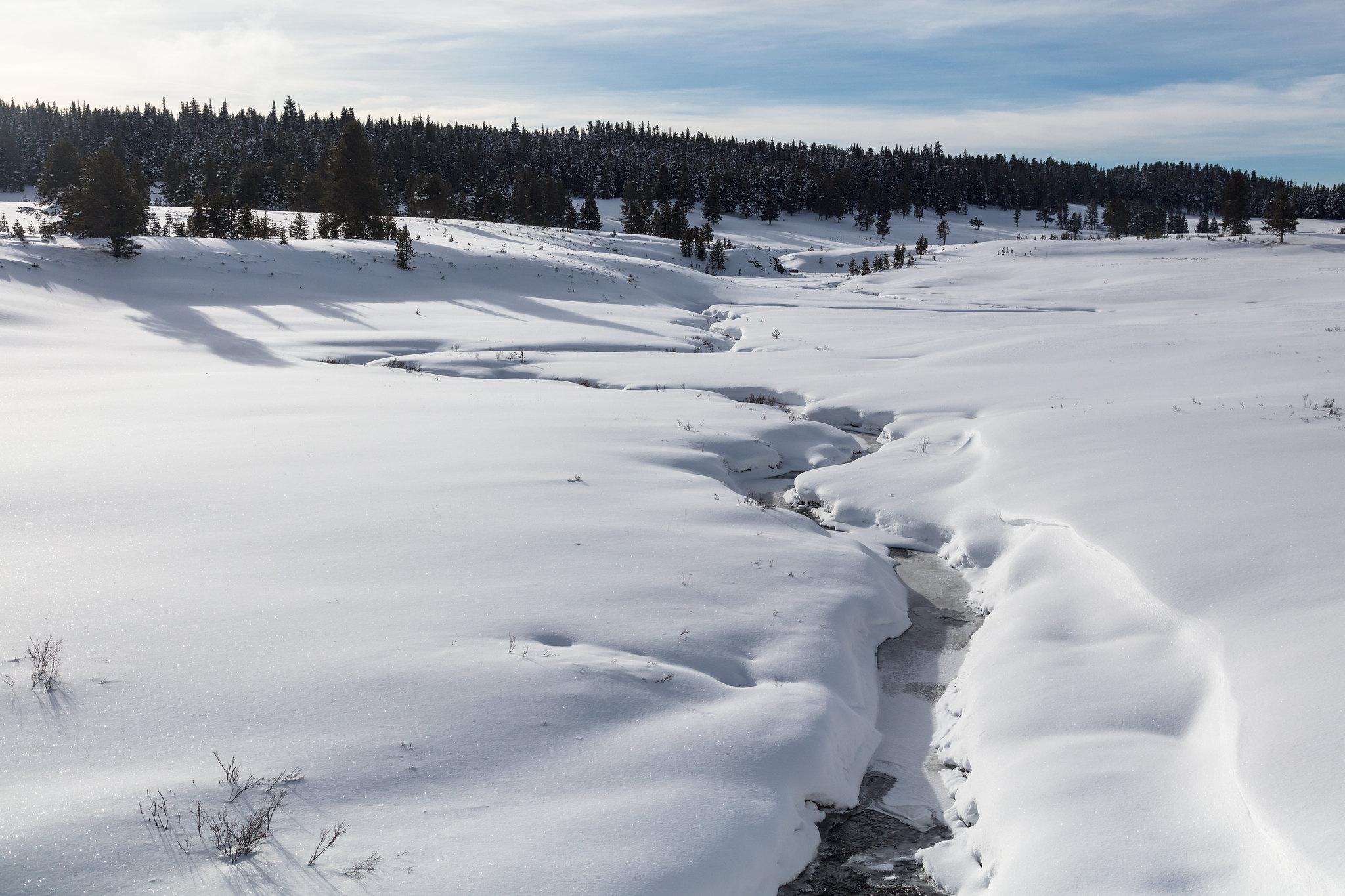 Creek blanketed by snow with trees in the background