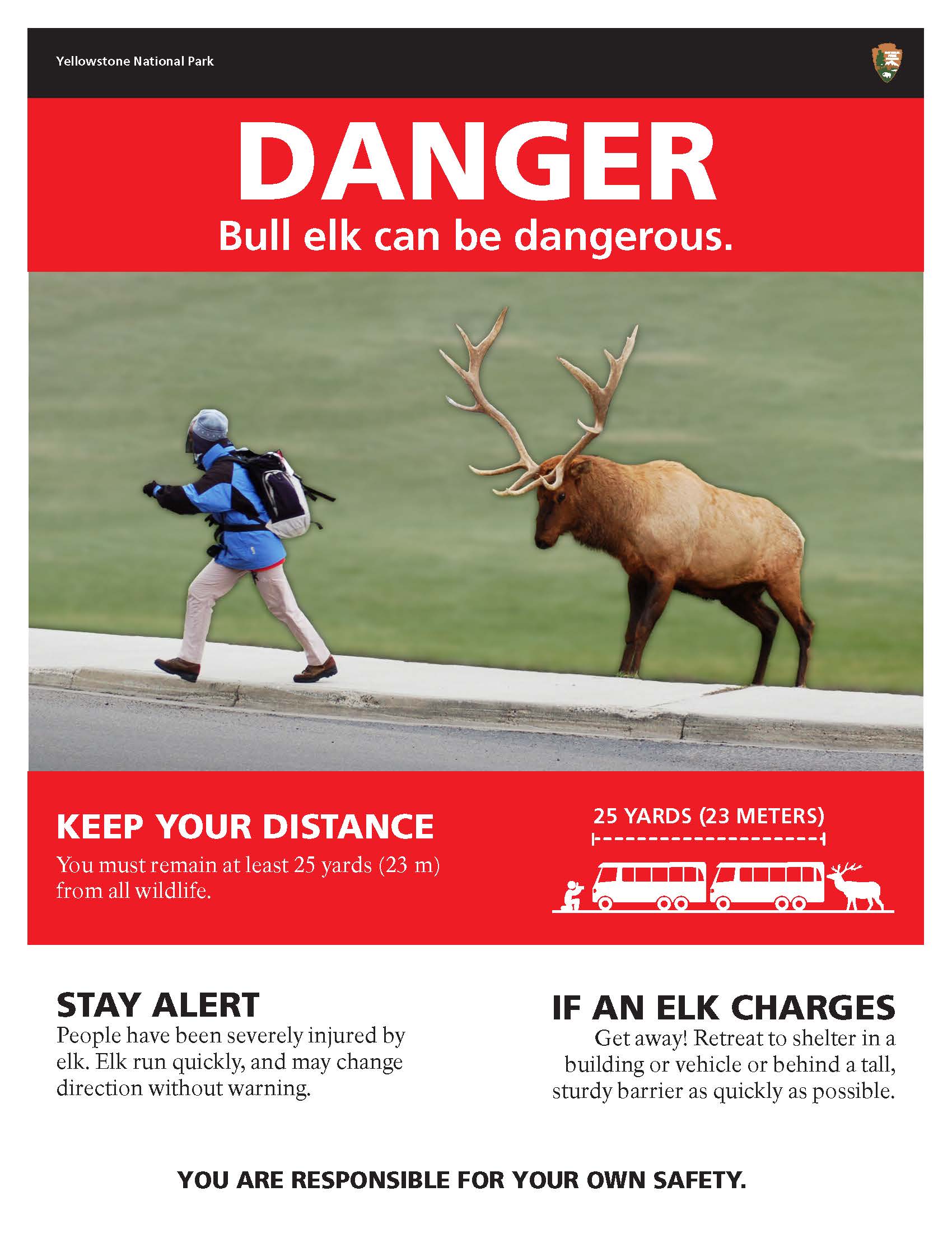 Elk Poster - Fall Rut - 8.5x11 poster of elk charger visitor with safety messages