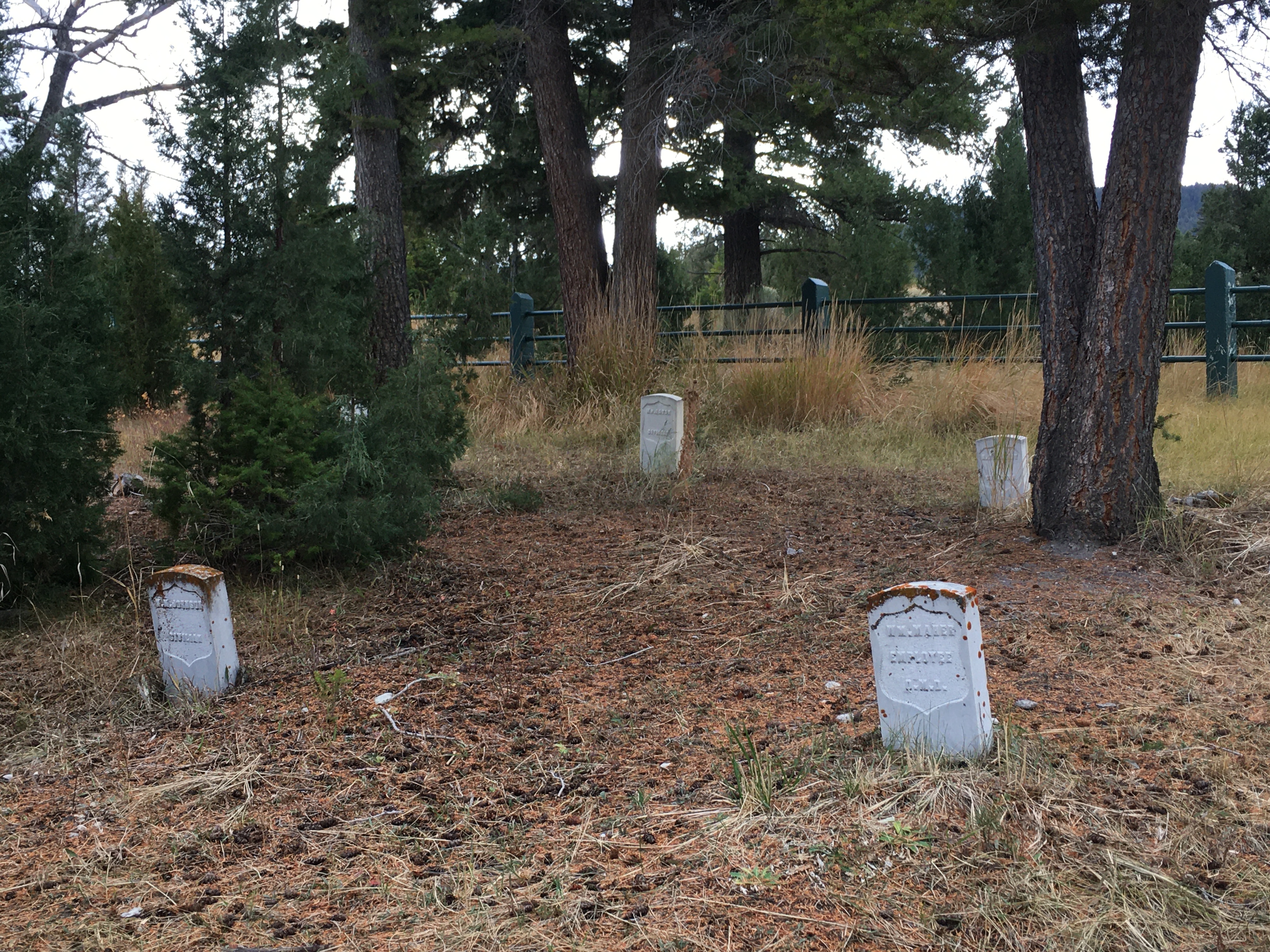 gravestones in the ground outside in a grassy field
