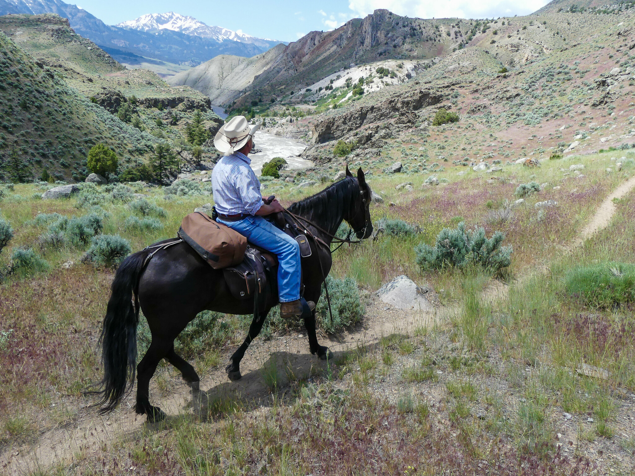 Horse ride Riding on the Yellowstone River Trail through the Black Canyon of the Yellowstone