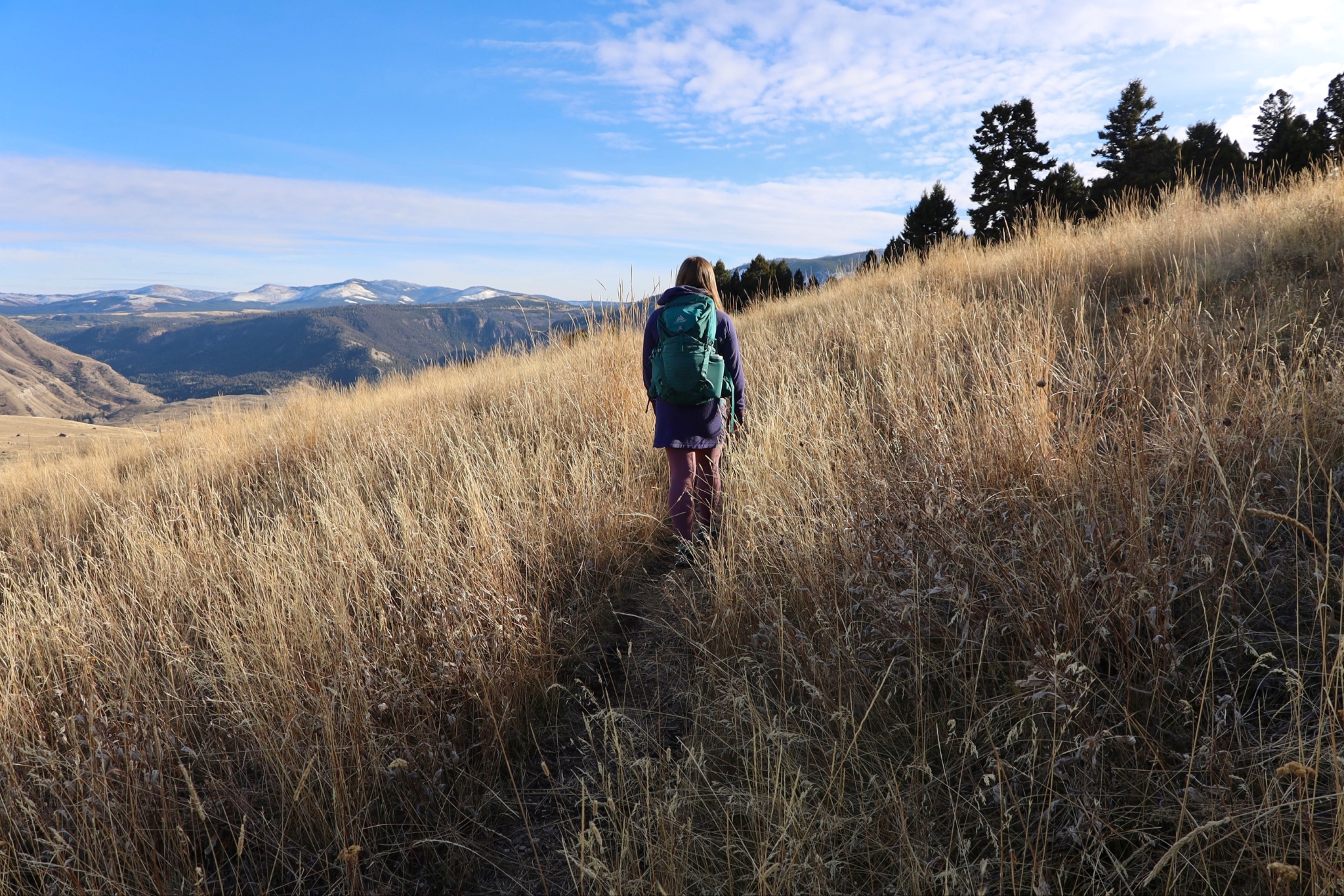 A woman hikes in a field of golden grass with snowcapped mountains in the distance.