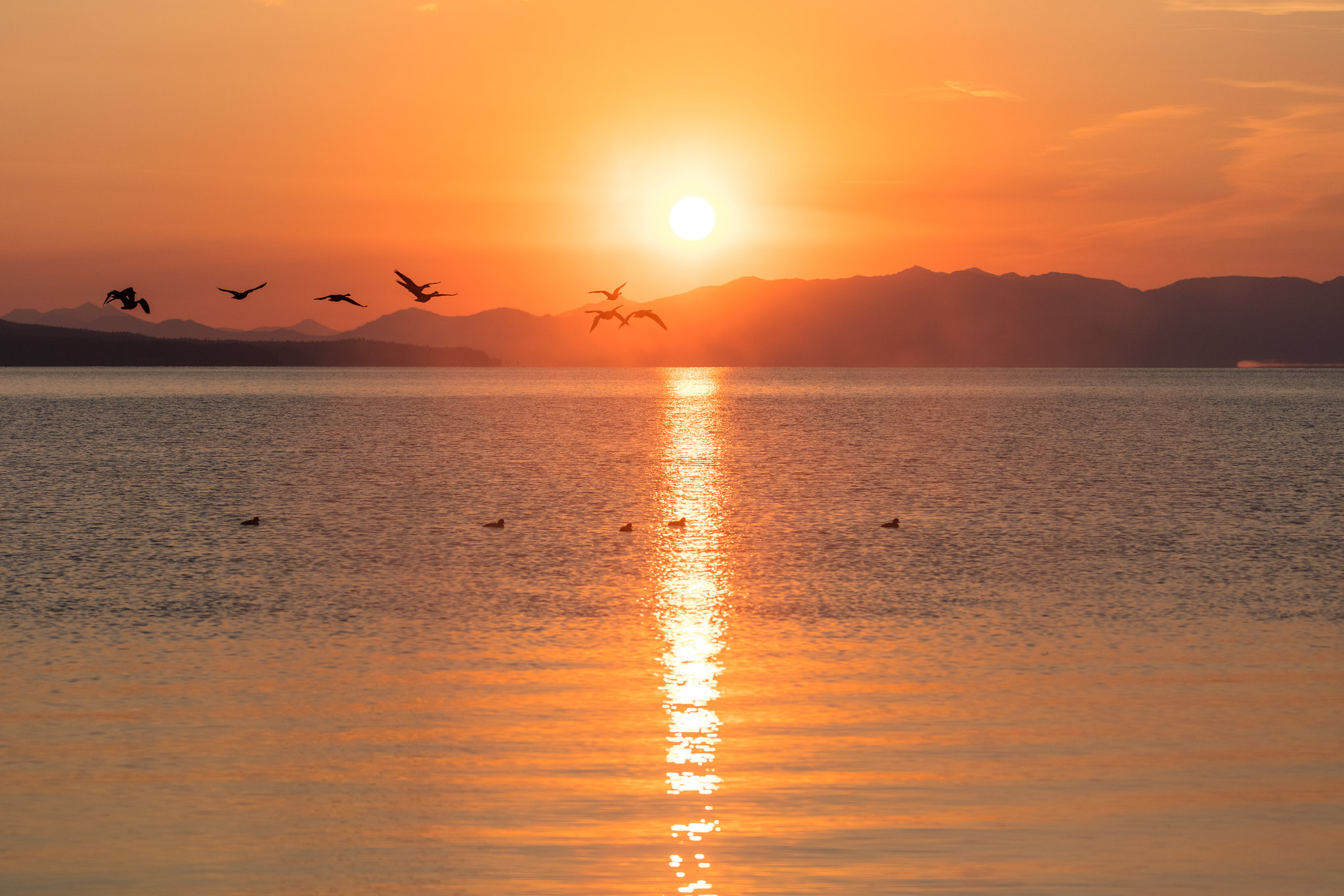 The sun rises over the mountains and reflects on a large lake. Birds fly in the morning light.