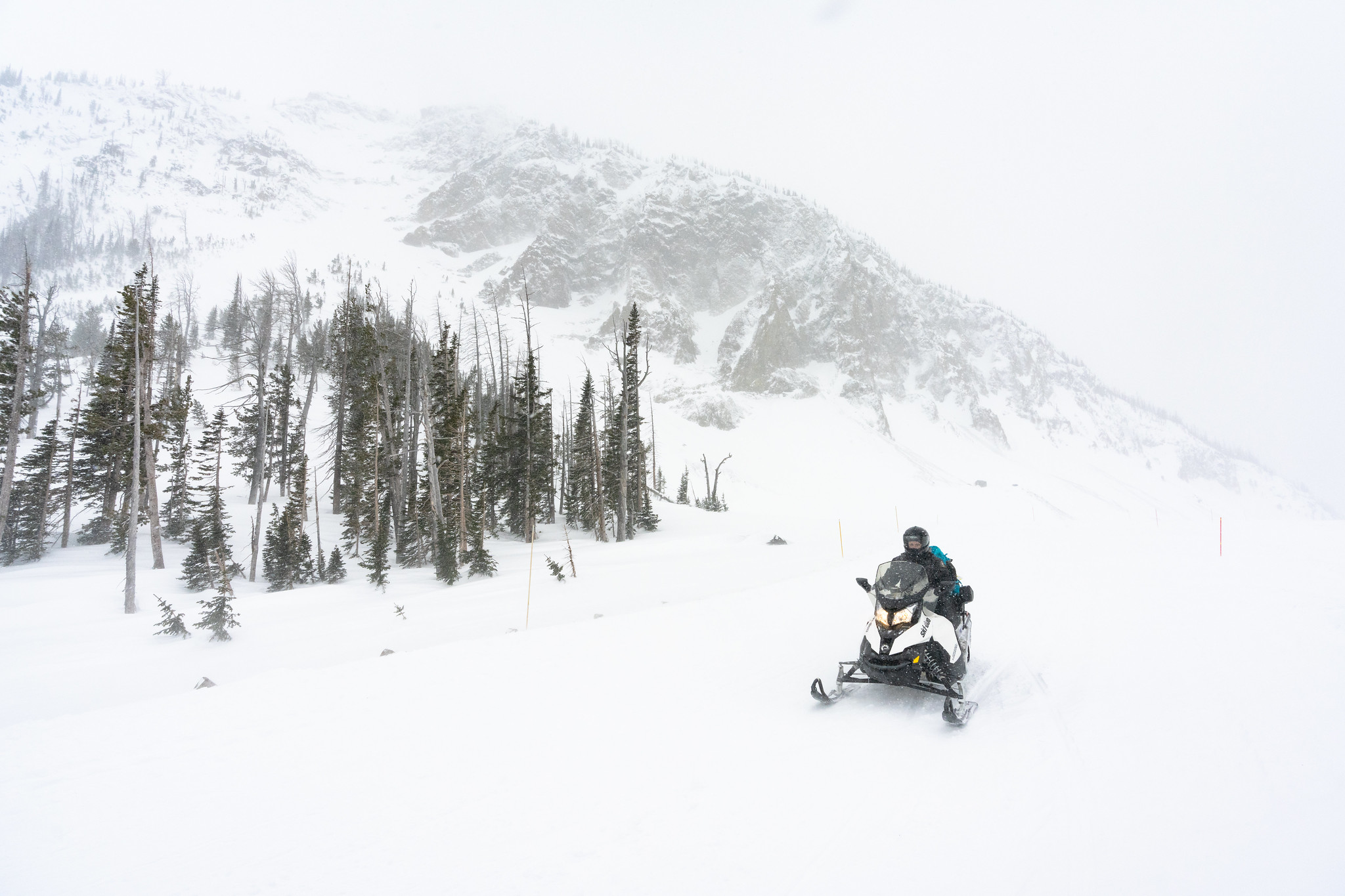 single snowmobiler rides through a snowstorm