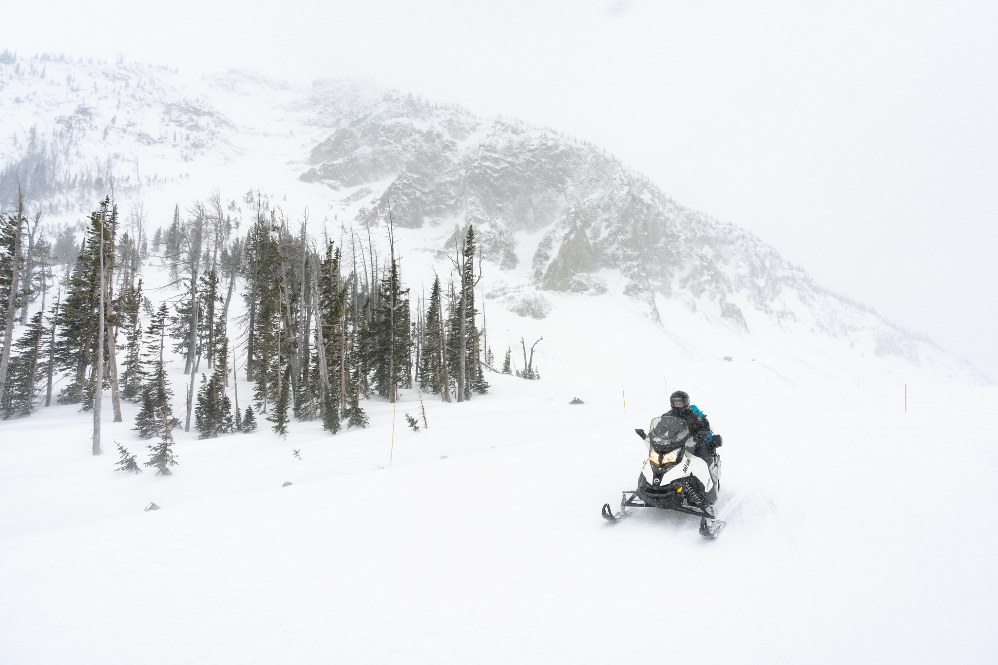 sled5 single snowmobiler rides through a snowstorm