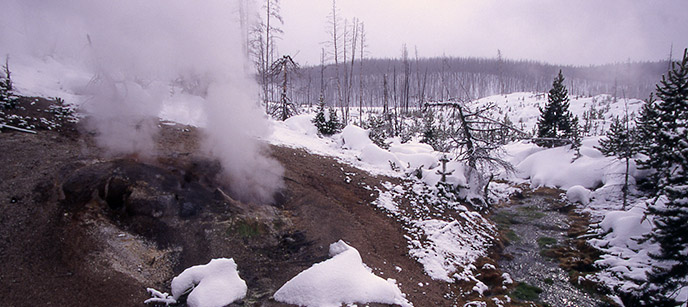 A photo of Puff 'n Stuff Geyser (steam phase)