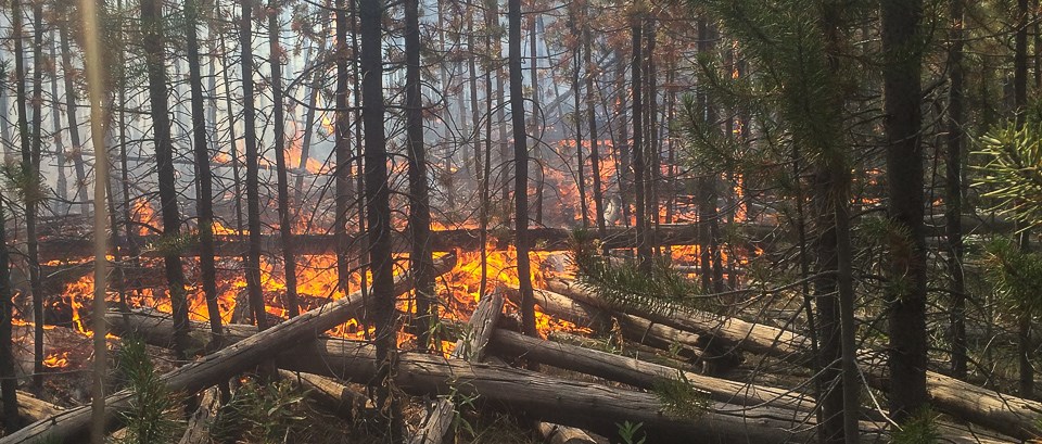A scene from the Maple Fire on August 14, 2016 A scene from the Maple Fire on August 14, 2016