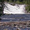 Waterfall with dead tree trunks floating in the water downstream