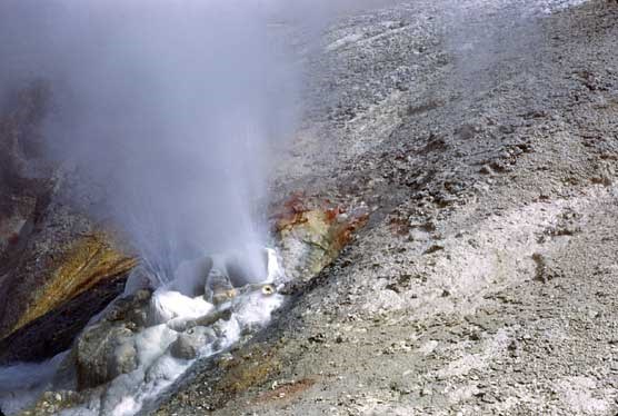 A photo of Black Growler Steam Vent