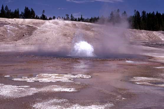 A small geyser shoots water a few feet into the air.