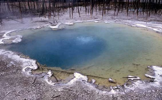 Cistern Spring giving off steam and bubbling gently