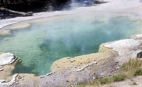 Bubbles rise to the surface, and steam from the surface, of this brighly green-colored hot spring pool.