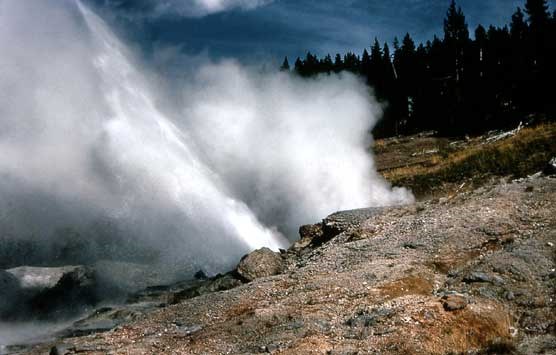 As Ledge Geyser erupts it shoots steam and water on an angle that is nearly 45 degrees.