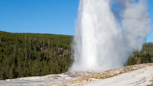 Old Faithful