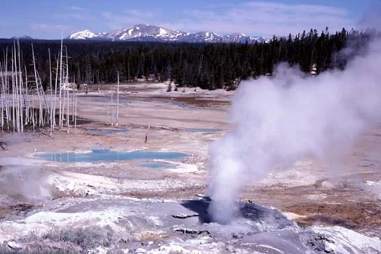 A view of Porcelain Basin looking west towards Mt Holmes