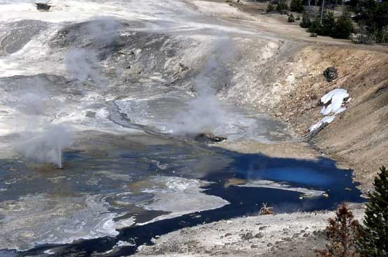 Milky blue pools of hot spring water lie at the edge of Porcelain Basin in Norris Geyser Basin.