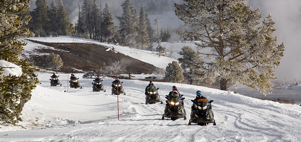 Line of snowmobiles traveling in a wintry landscape